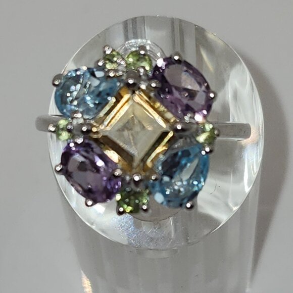 .925 Sterling Silver Citrine/Garnet/Peridot/Topaz Floral Ring Sz 8.75 Value $695 - Picture 4 of 9